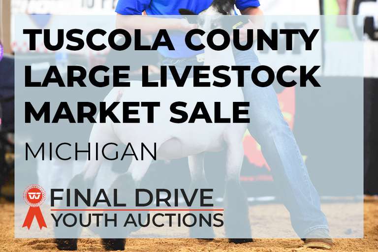 Tuscola County Large Livestock Market Sale - Michigan