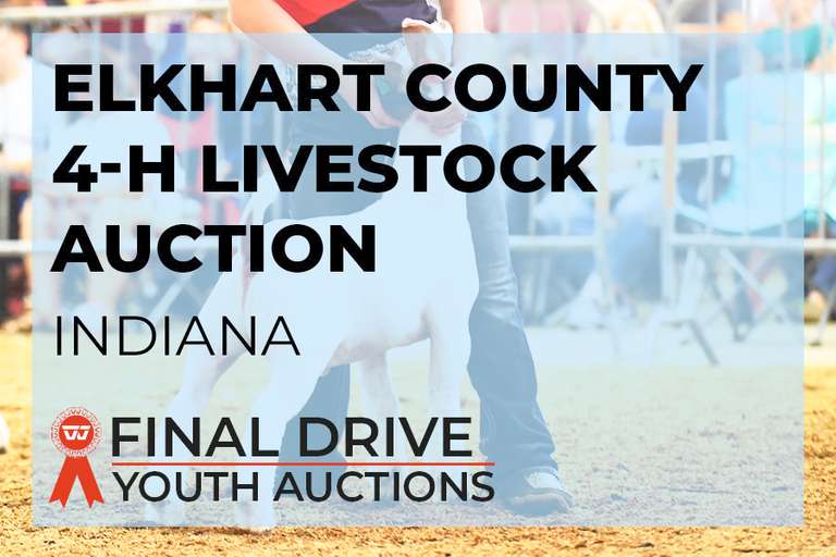 Elkhart County 4-H Livestock Auction - Indiana