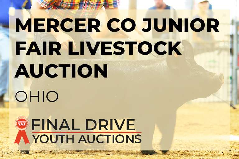 Mercer Co Jr Fair Livestock Auction - Ohio
